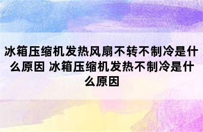 冰箱压缩机发热风扇不转不制冷是什么原因 冰箱压缩机发热不制冷是什么原因